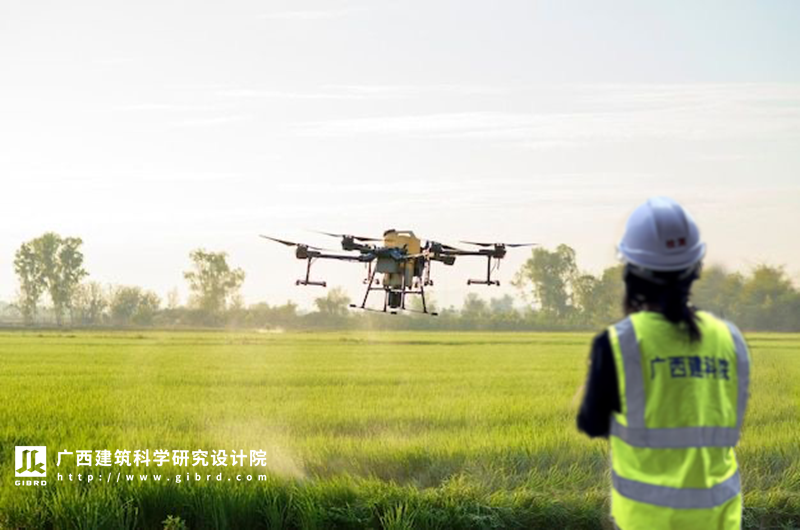 助力鄉(xiāng)村振興丨我院人工智能技術(shù)賦能廣西特色作物全產(chǎn)業(yè)鏈
